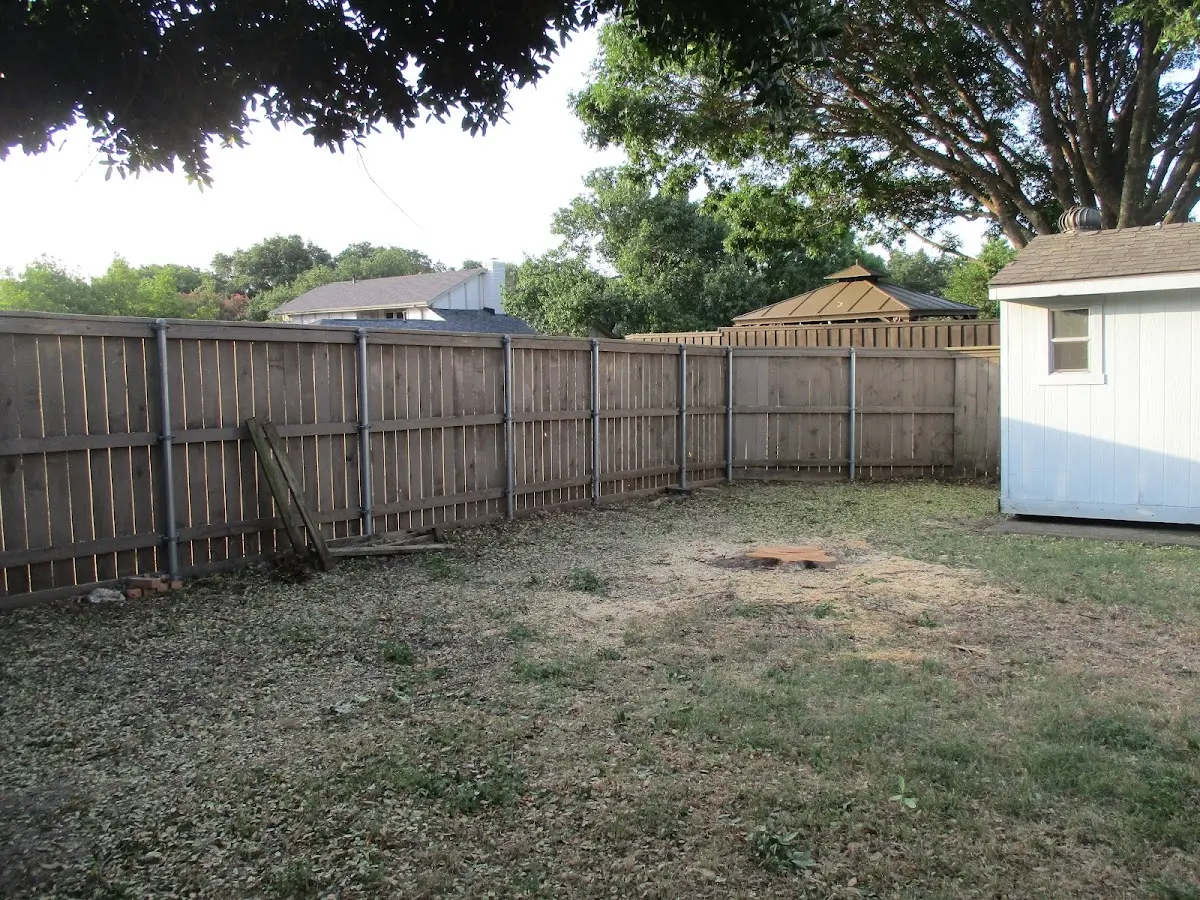 Cleared yard after professional tree removal in Mckeesport